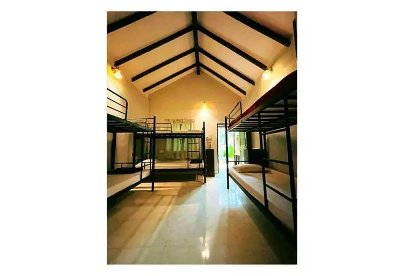 The Funky Monkey Hostel