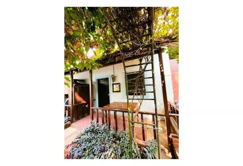 The Funky Monkey Hostel