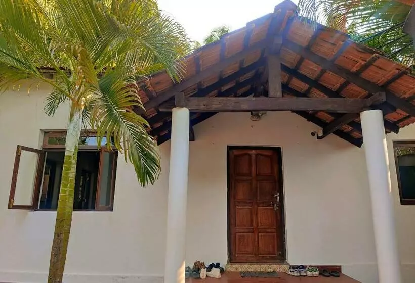 The Funky Monkey Hostel