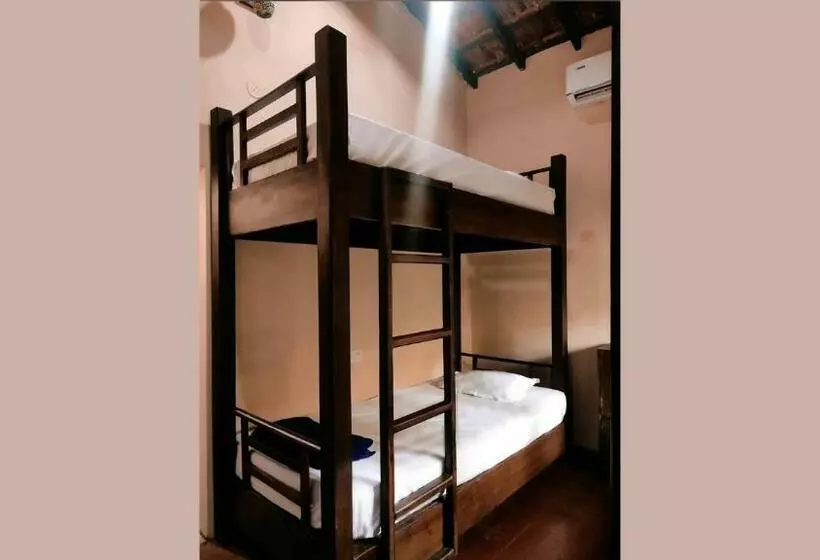 The Funky Monkey Hostel