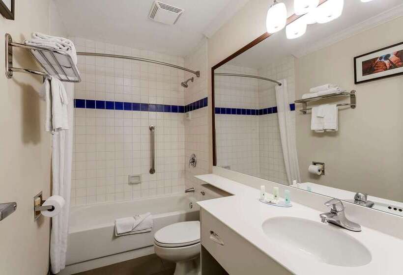 בית מלון כפרי Comfort Inn Murray – Salt Lake City South