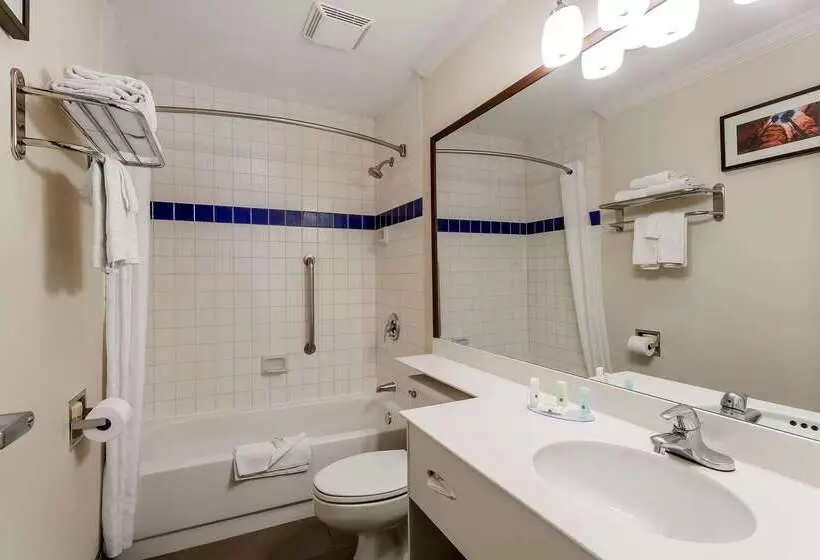 ホテル Comfort Inn Murray – Salt Lake City South