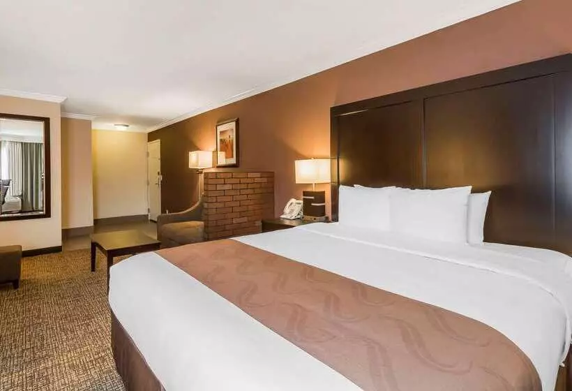 ホテル Comfort Inn Murray – Salt Lake City South