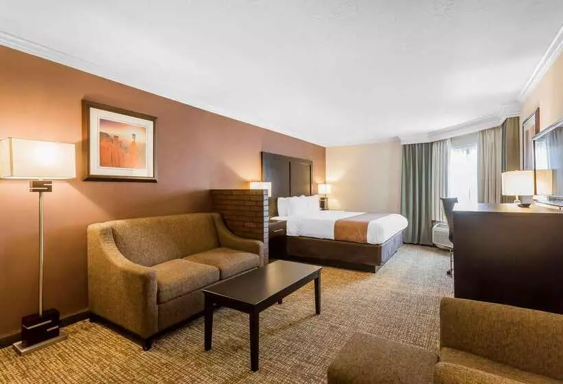 ホテル Comfort Inn Murray – Salt Lake City South