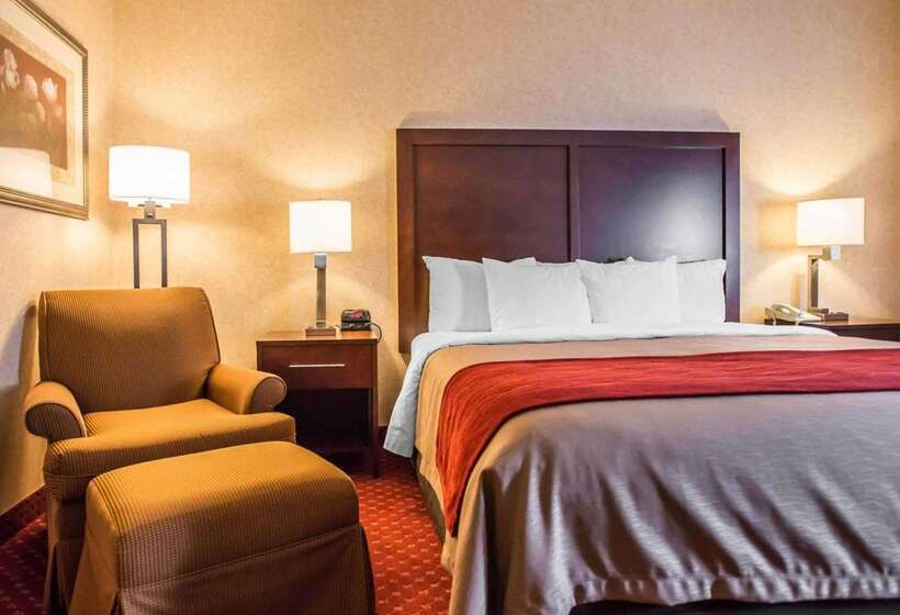 酒店 Comfort Inn Pocono Lakes Region