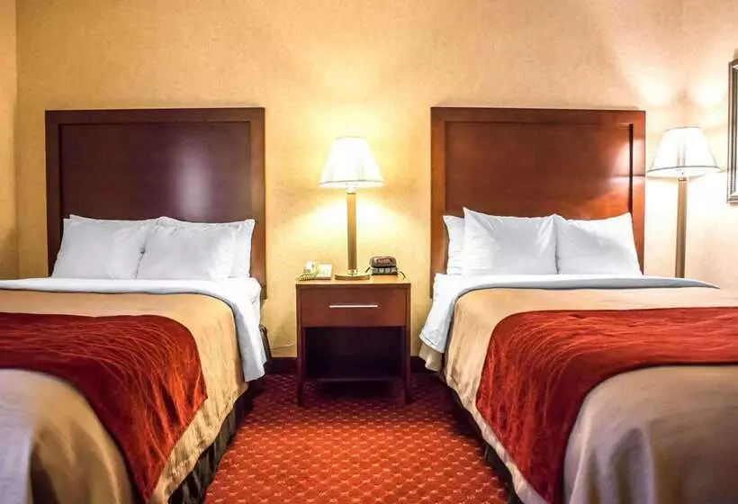 Отель Comfort Inn Pocono Lakes Region