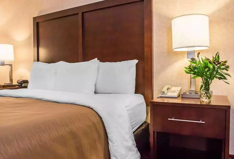 Отель Comfort Inn Pocono Lakes Region