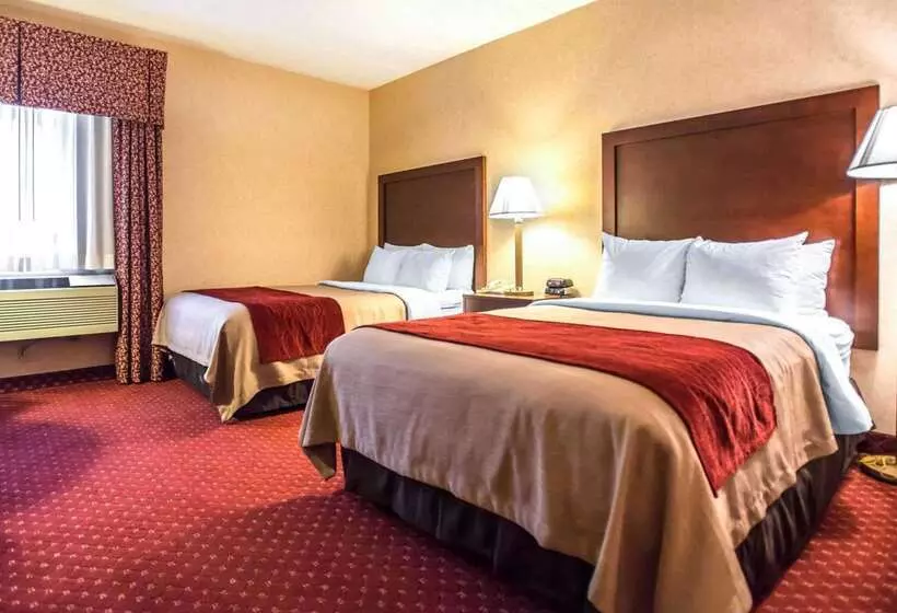 Отель Comfort Inn Pocono Lakes Region