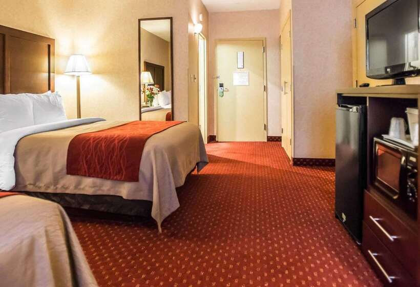 酒店 Comfort Inn Pocono Lakes Region