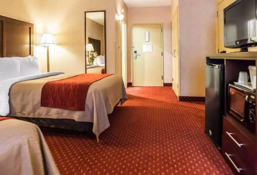 Отель Comfort Inn Pocono Lakes Region