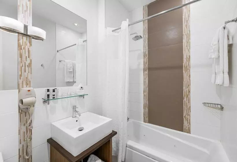 Condor Hotel By Luxurban