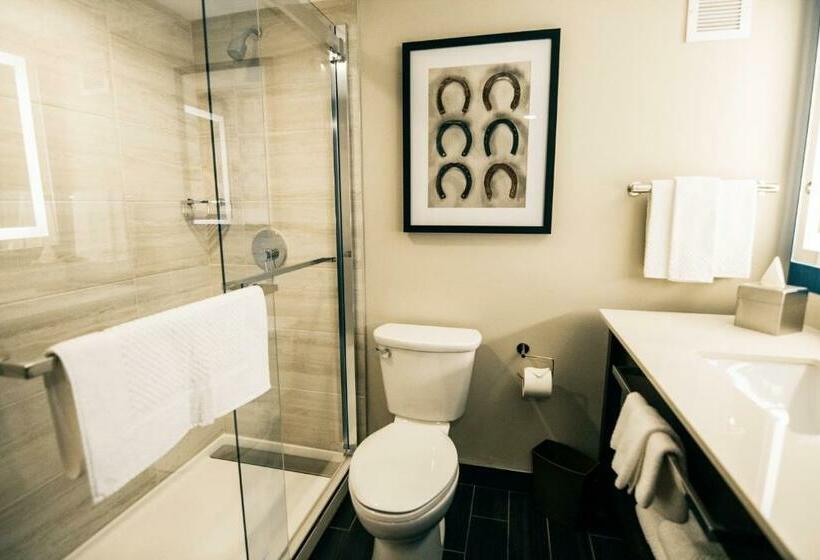 호텔 Doubletree By Hilton Lubbock  University Area