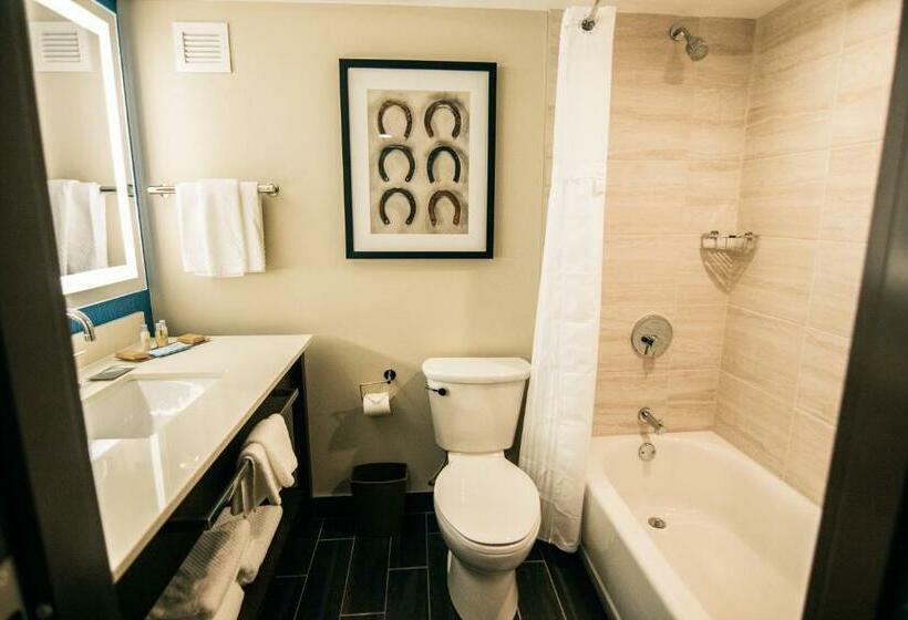 호텔 Doubletree By Hilton Lubbock  University Area