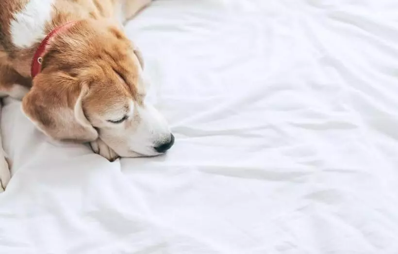 Garner Hotel Macon West, An Ihg