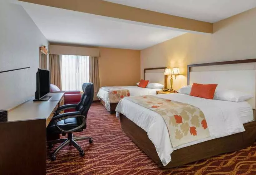 酒店 Hawthorn Suites By Wyndham Allentownfogelsville