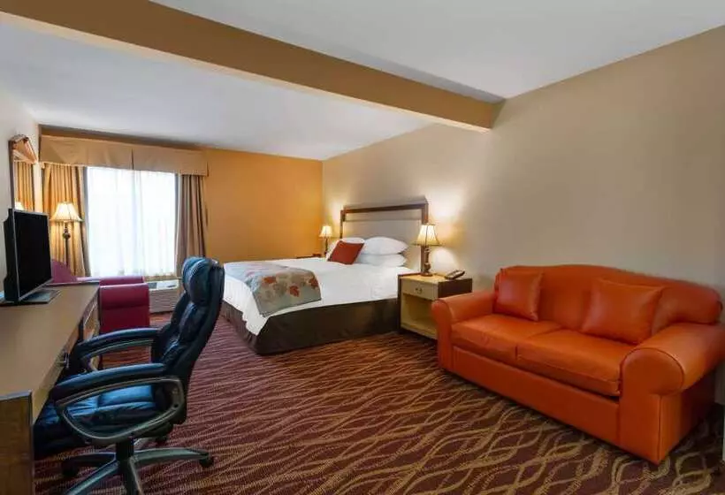 酒店 Hawthorn Suites By Wyndham Allentownfogelsville