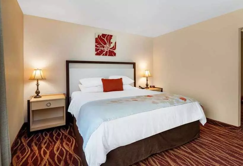 酒店 Hawthorn Suites By Wyndham Allentownfogelsville