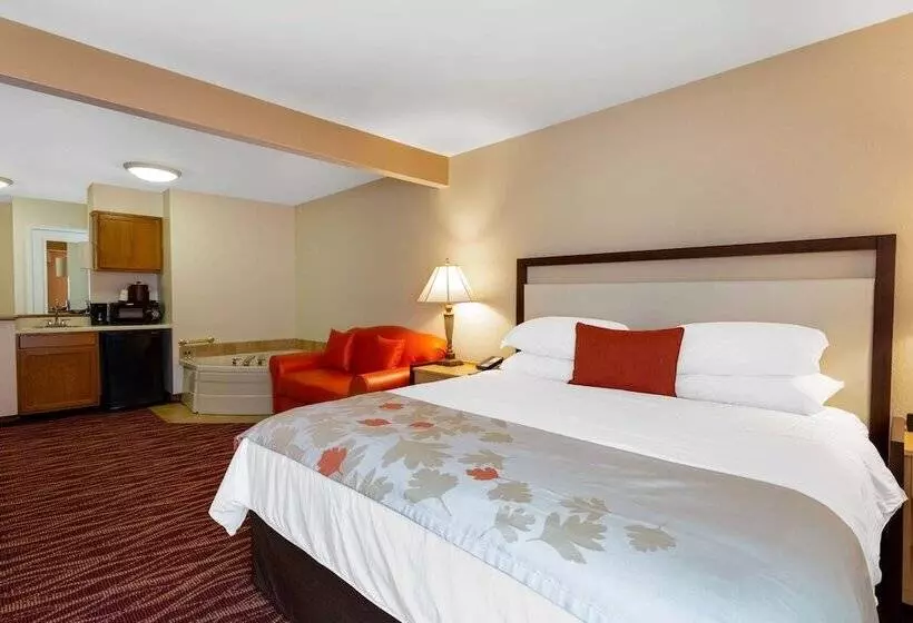 酒店 Hawthorn Suites By Wyndham Allentownfogelsville