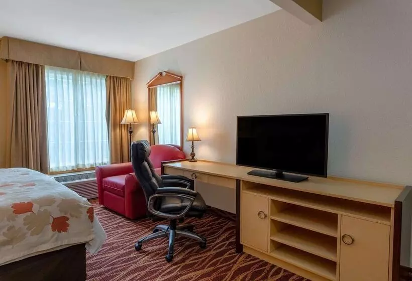 酒店 Hawthorn Suites By Wyndham Allentownfogelsville