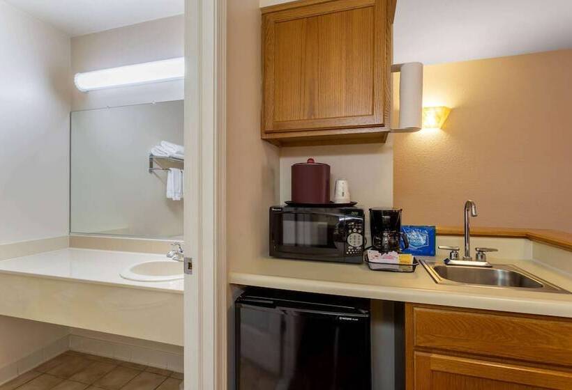 Отель Hawthorn Suites By Wyndham Allentownfogelsville