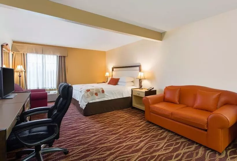 酒店 Hawthorn Suites By Wyndham Allentownfogelsville