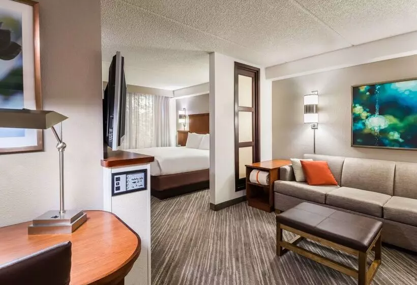 호텔 Hyatt Place Atlanta Duluth Johns Creek
