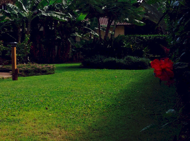 Poipu Bed And Breakfast Inn