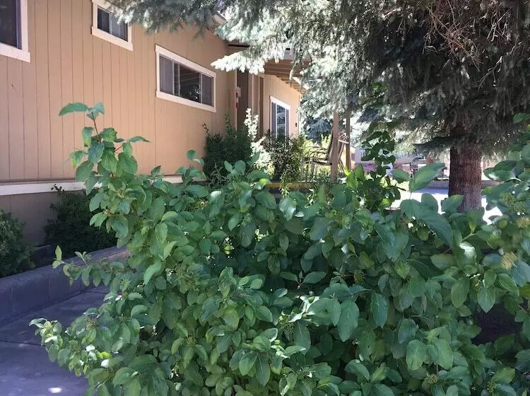 ホテル Lake View Lodge