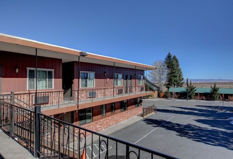 酒店 Lake View Lodge