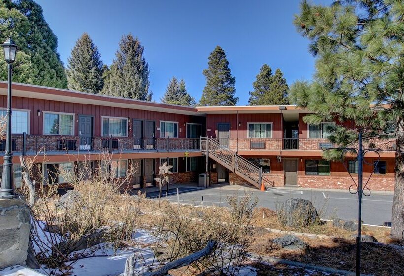 酒店 Lake View Lodge