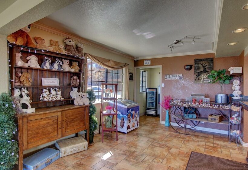 酒店 Lake View Lodge