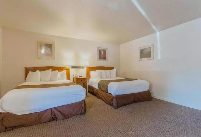 ホテル Mariposa Lodge