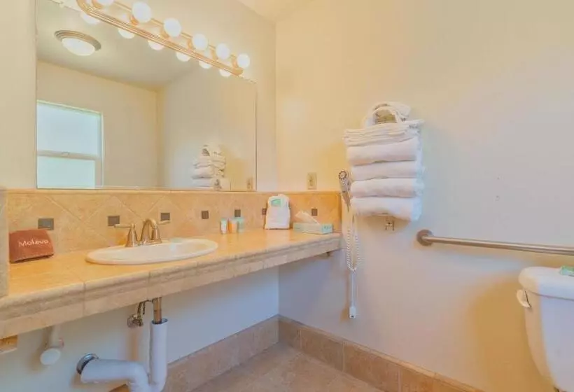 ホテル Mariposa Lodge