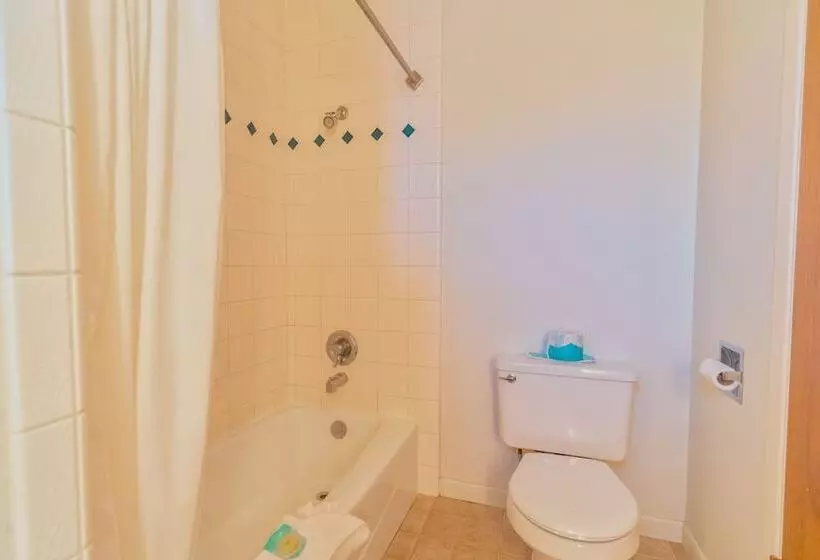 ホテル Mariposa Lodge