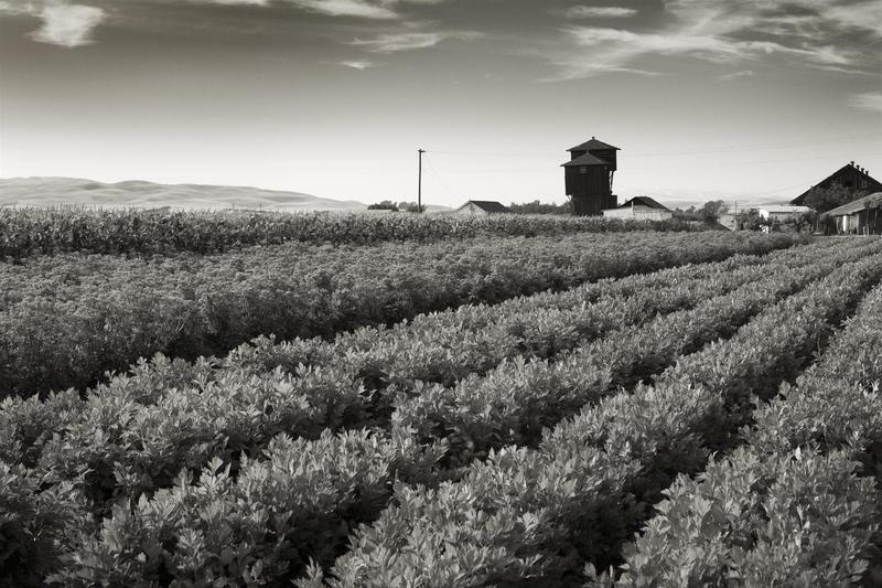 Отель Rosewood Sand Hill