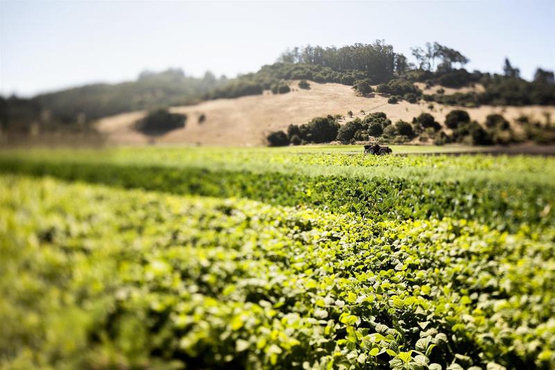 Отель Rosewood Sand Hill