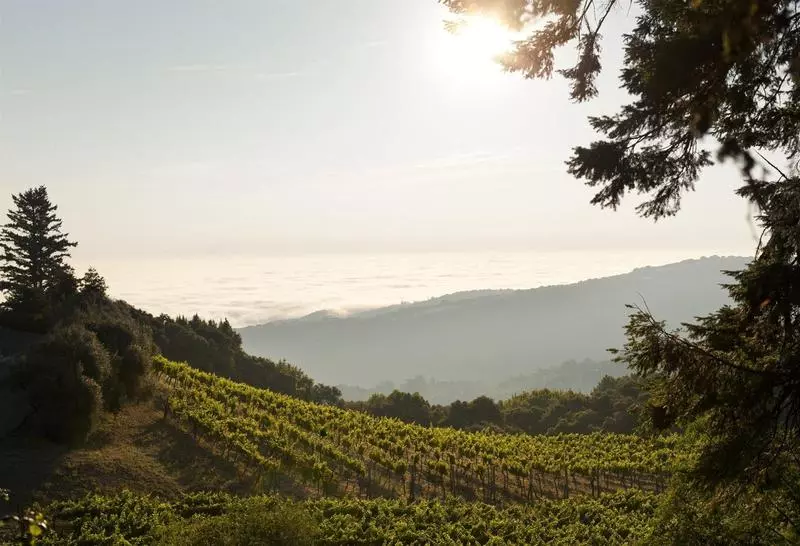 ホテル Rosewood Sand Hill