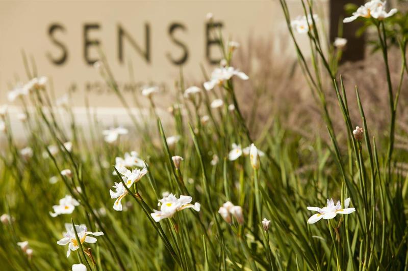 Отель Rosewood Sand Hill