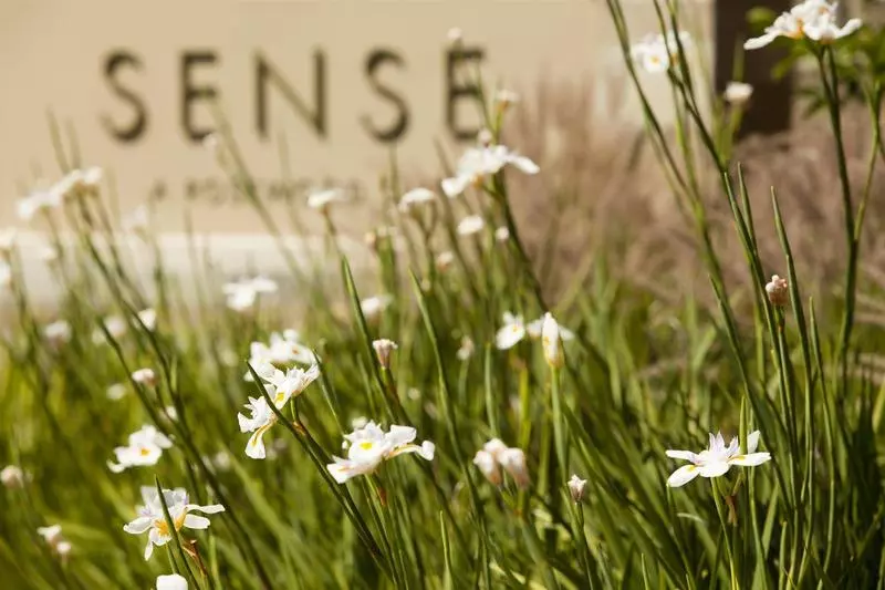 ホテル Rosewood Sand Hill