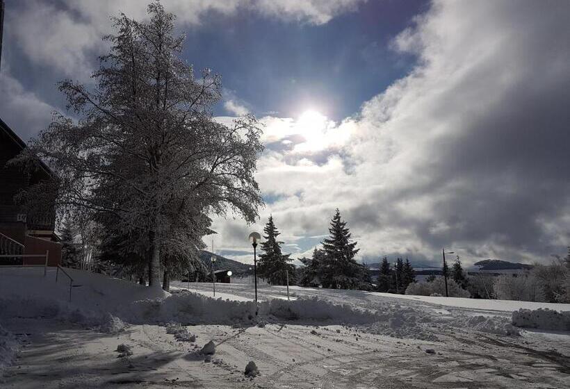 בית מלון כפרי Résidence Le Bois De La Reine
