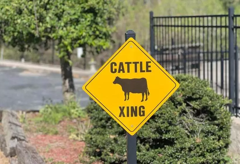 ホテル Skyline Village Inn