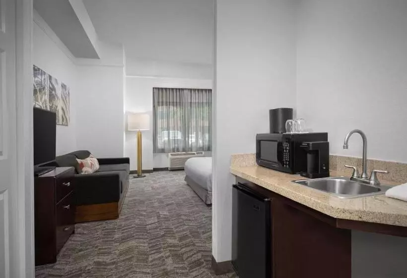 호텔 Springhill Suites By Marriott Portland Vancouver