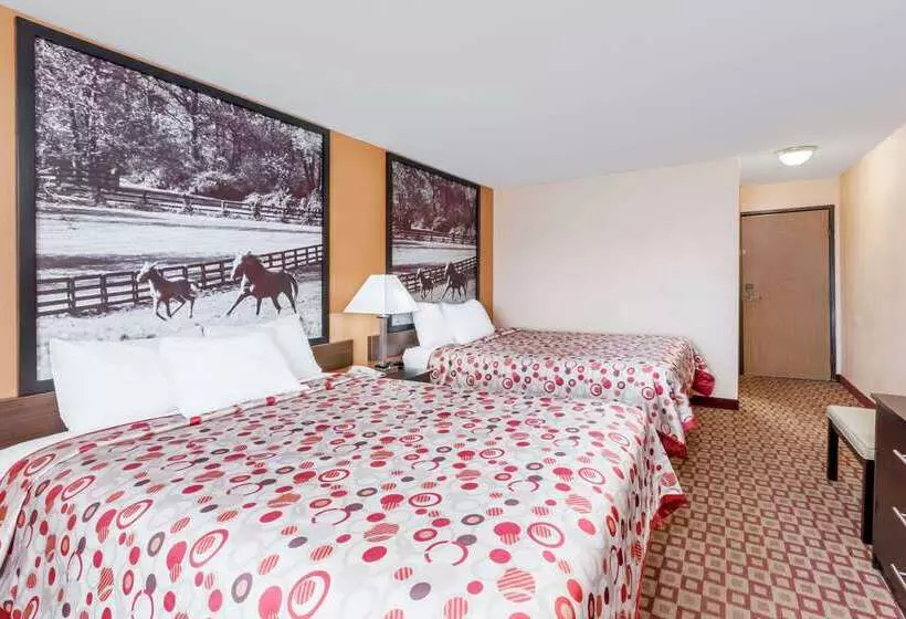 ホテル Super 8 South By Wyndham