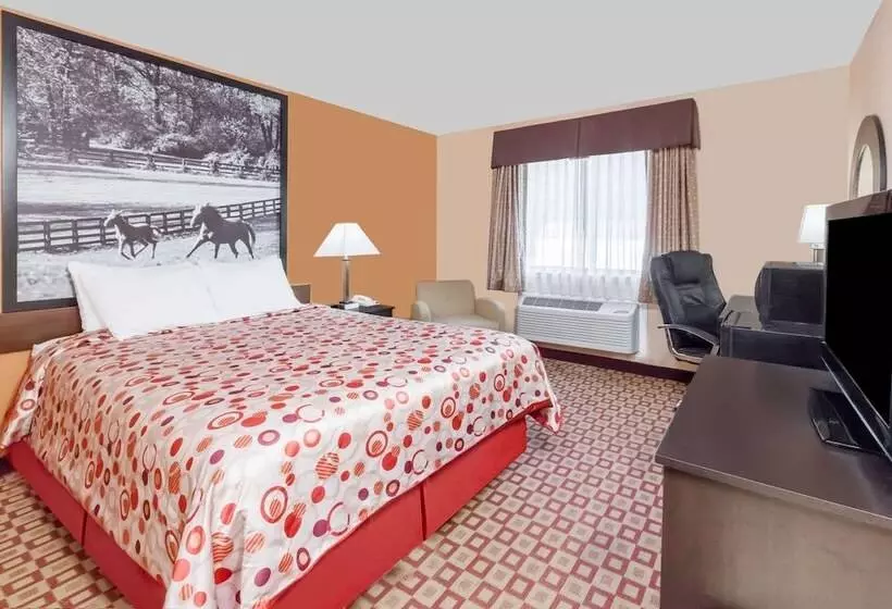 ホテル Super 8 South By Wyndham