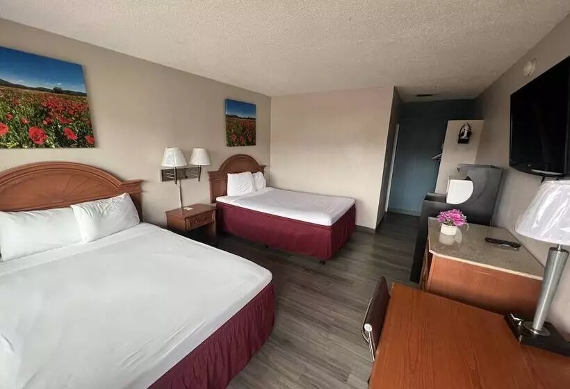 호텔 University Inn Chico