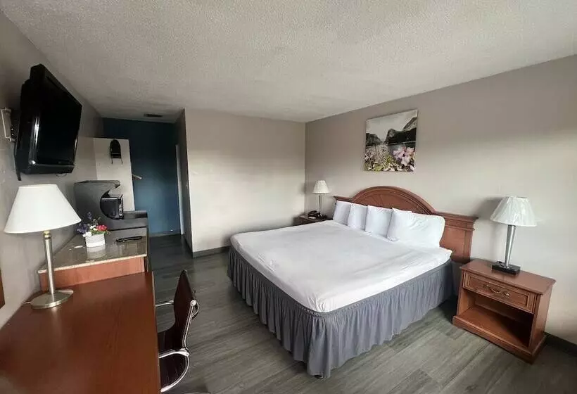 호텔 University Inn Chico