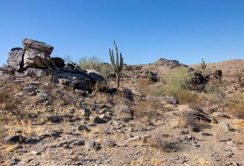 リゾートホテル Worldmark Phoenix   South Mountain Preserve