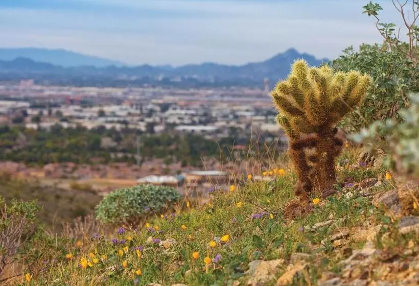 リゾートホテル Worldmark Phoenix   South Mountain Preserve