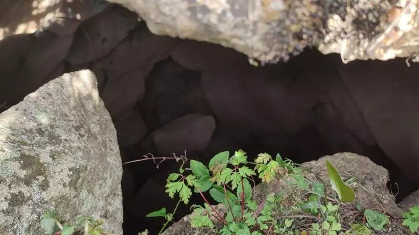 ベッドアンドブレックファースト Il Nuraghe