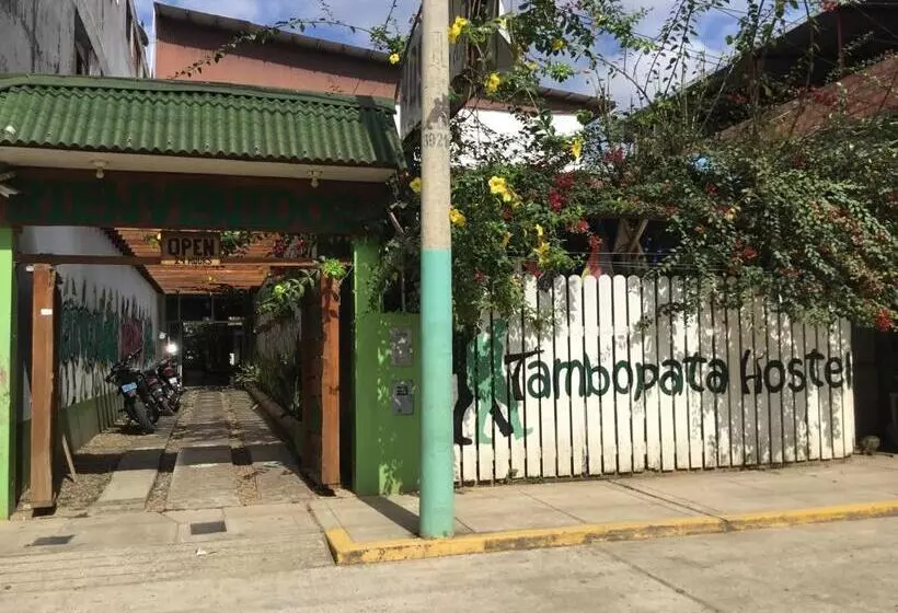 ベッドアンドブレックファースト Tambopata Hostel